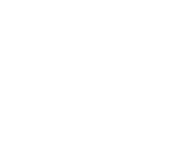 MST Sistem